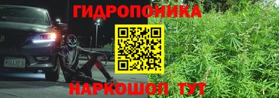 мдпв Славгород