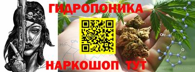 гашик Славянск-на-Кубани